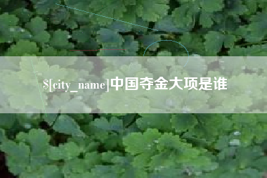项城中国夺金大项是谁