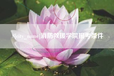 项城消防救援学院报考条件