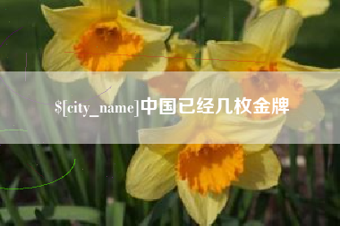 项城中国已经几枚金牌