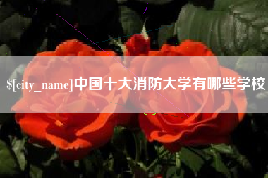 项城中国十大消防大学有哪些学校