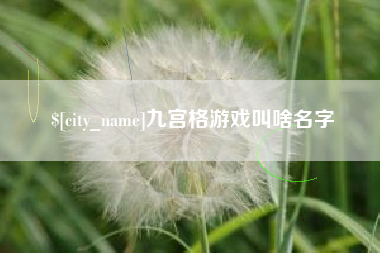 项城九宫格游戏叫啥名字