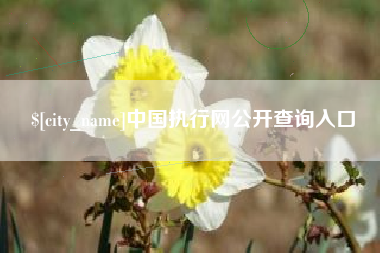 项城中国执行网公开查询入口