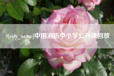 项城中国消防中小学公开课回放