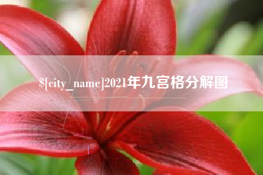 项城2021年九宫格分解图