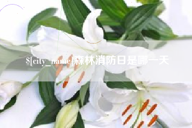 项城森林消防日是哪一天