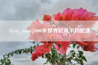 项城5000米世界纪录平均配速