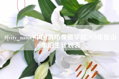 项城中国消防救援学院2020年在山东招生计划表