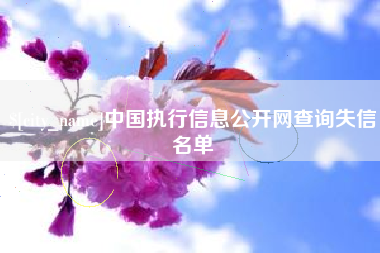 项城中国执行信息公开网查询失信名单