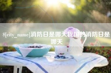 项城消防日是哪天我国的消防日是哪天