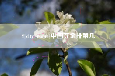 项城中国夺金排第几