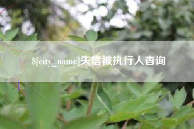 项城失信被执行人杳询