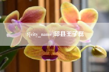 项城邱县王子磊