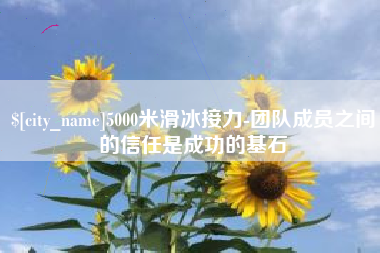 项城5000米滑冰接力-团队成员之间的信任是成功的基石