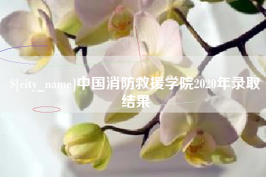 项城中国消防救援学院2020年录取结果