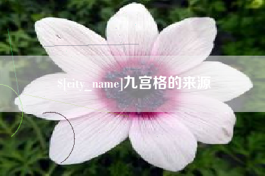 项城九宫格的来源