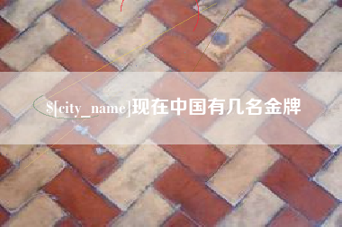 项城现在中国有几名金牌