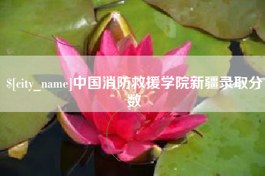 项城中国消防救援学院新疆录取分数