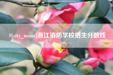 项城浙江消防学校招生分数线