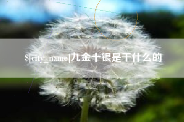 项城九金十银是干什么的