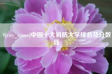 项城中国十大消防大学排名及分数线