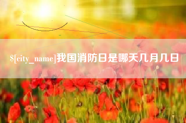 项城我国消防日是哪天几月几日