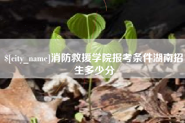 项城消防救援学院报考条件湖南招生多少分