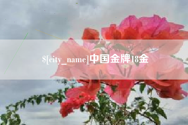项城中国金牌18金