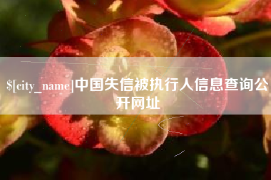 项城中国失信被执行人信息查询公开网址