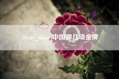 项城中国哪几项金牌