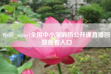 项城全国中小学消防公开课直播回放观看入口