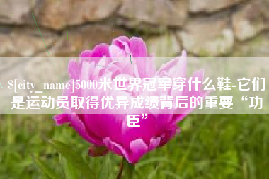项城5000米世界冠军穿什么鞋-它们是运动员取得优异成绩背后的重要“功臣”
