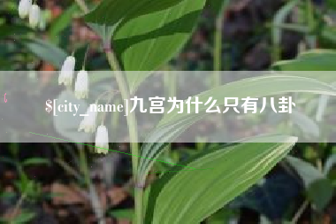 项城九宫为什么只有八卦