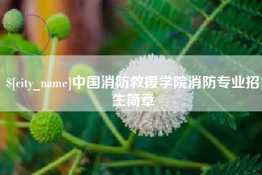 项城中国消防救援学院消防专业招生简章