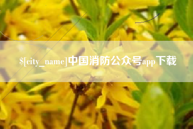 项城中国消防公众号app下载