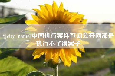项城中国执行案件查询公开网都是执行不了得案子