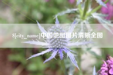 项城中国地图图片清晰全图