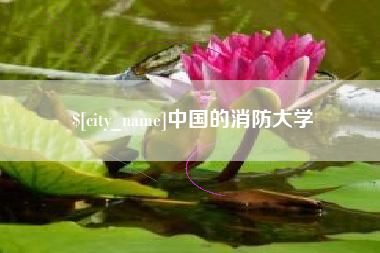 项城中国的消防大学