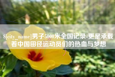 项城男子5000米全国记录-更是承载着中国田径运动员们的热血与梦想