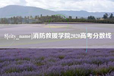项城消防救援学院2020高考分数线
