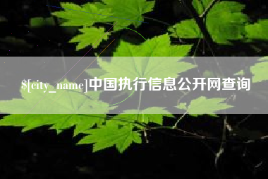 项城中国执行信息公开网查询