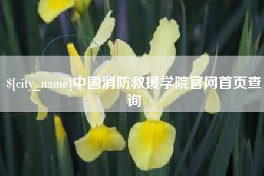 项城中国消防救援学院官网首页查询