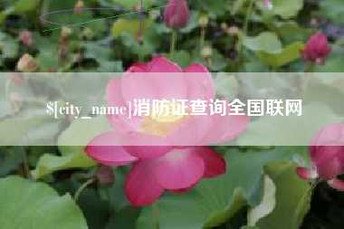 项城消防证查询全国联网