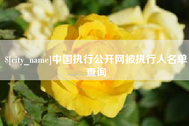 项城中国执行公开网被执行人名单查询