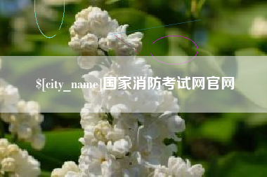 项城国家消防考试网官网