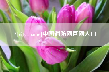 项城中国消防网官网入口