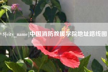 项城中国消防救援学院地址路线图