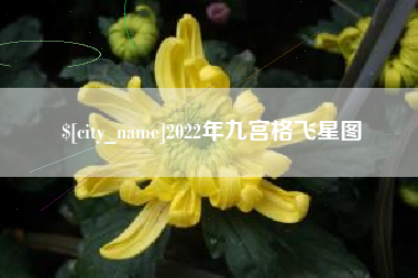 项城2022年九宫格飞星图