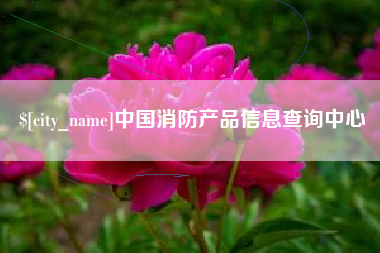 项城中国消防产品信息查询中心