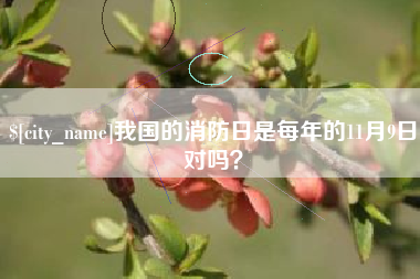 项城我国的消防日是每年的11月9日对吗？