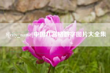 项城中国九宫格数字图片大全集